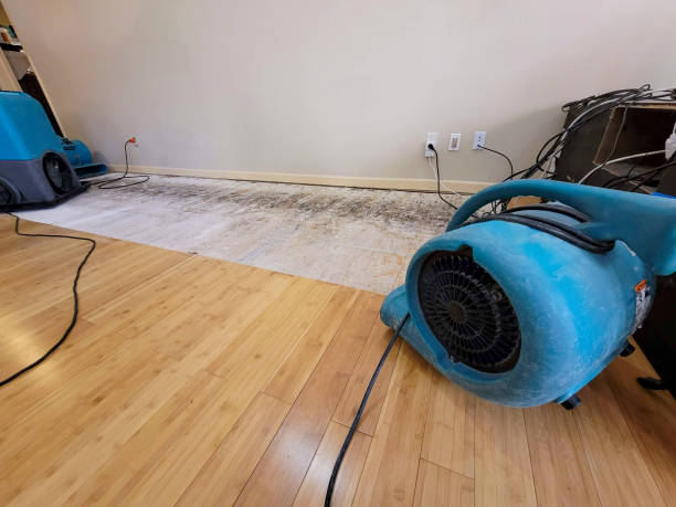 Professional Burst Pipe Water Damage technician working in Mount Eden, KY